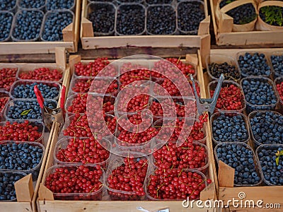shop selling berries and fruits in the center city. Stock Photo