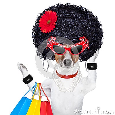 Shopaholic diva dog Stock Photo