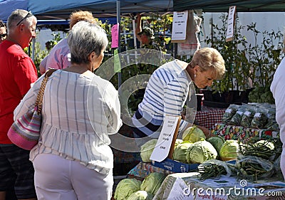 Shoppers inspect goods at a farmers and artisan market. Editorial Stock Photo