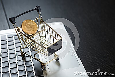 Shopping cart with bitcoin on laptop Cartoon Illustration