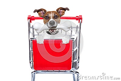 Shopping cart dog Stock Photo