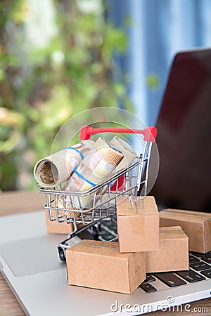 A shopping cart and express parcel full of Canadian dollar bills on a laptop keyboard Stock Photo