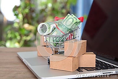 Shopping cart and express parcel full of euro banknotes on laptop keyboard Stock Photo