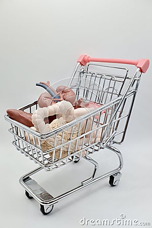 shopping cart with human organs Stock Photo