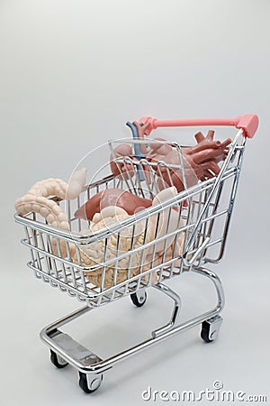 shopping cart with human organs Stock Photo