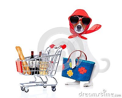 Shopping dog diva Stock Photo