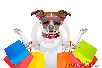 Shopping dog Stock Photo