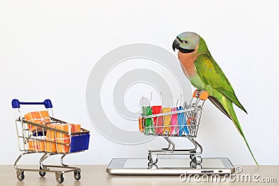 Shopping online,Parrot on model miniature shopping cart and shopping bag on tablet smart device Stock Photo