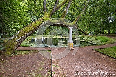 On the shore of the Round pond Stock Photo