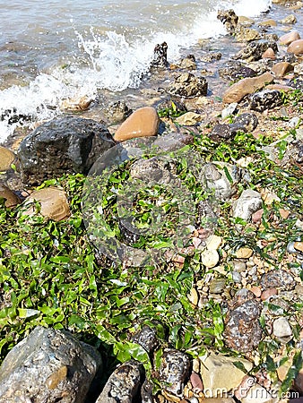 shore side in port of sagunto Stock Photo