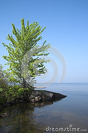 The Shoreline. Stock Photo