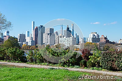 Shoreline of Astoria Queens New York with Plants looking towards the East River and the Manhattan and Roosevelt Island Skyline in Stock Photo