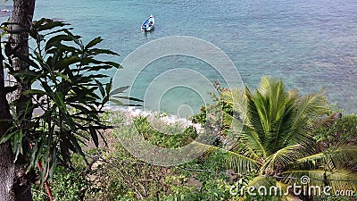 Shoreline at Castara Bay in Tobago Stock Photo