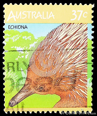 Short-beaked Echidna Tachyglossus aculeatus, Australian Wildlife serie, circa 1987 Editorial Stock Photo