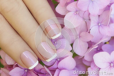 Short pink lilac French manicure. Stock Photo