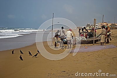 Shorting Fish Editorial Stock Photo