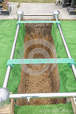 Shot of cemetery and tombstone for funeral burial from Covid 19 pandemic outbreak Editorial Stock Photo