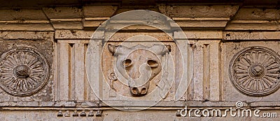 Beef skull at the main entrance Stock Photo