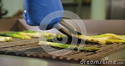 Shot Of Cooking Green Asparagus On Grill Pan Stock Video ...