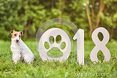 Adorable happy fox terrier dog at the park 2018 new year greetin Stock Photo