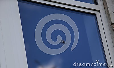 A shot from a firearm, a bullet-pierced room window Stock Photo