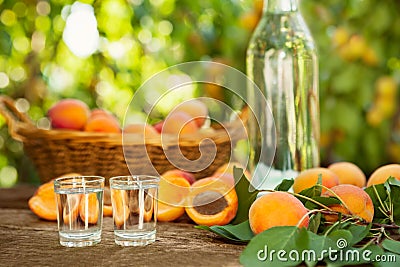 Shot glass with fruit alcohol brandy Stock Photo