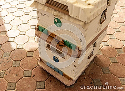 Shot of a plastic bee hive. Farm Stock Photo