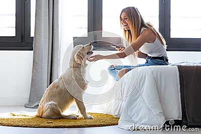 Pretty young woman using her mobile phone while staying with her dog at home Stock Photo