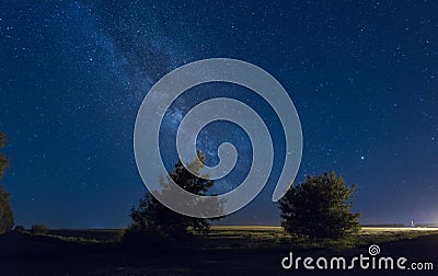 Milky way against the background of trees Stock Photo