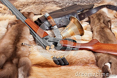 Shotgun Stock Photo