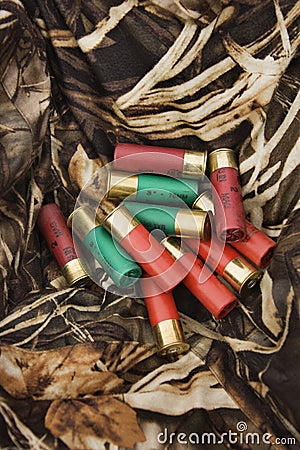 Shotgun shells. Stock Photo