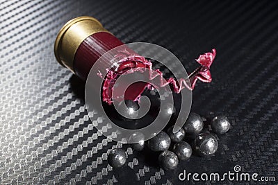 Shotshell Stock Photo