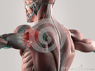 Shoulder joint pain Stock Photo