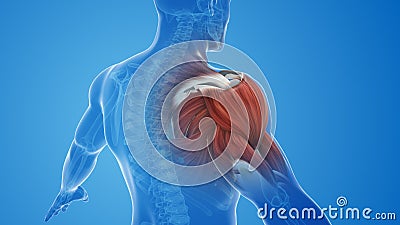 shoulder muscle pain and injury Stock Photo