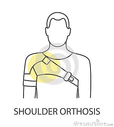 Shoulder orthosis icon in vector, linear illustration Vector Illustration