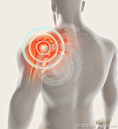 Shoulder painful skeleton x-ray, 3D illustration. Cartoon Illustration