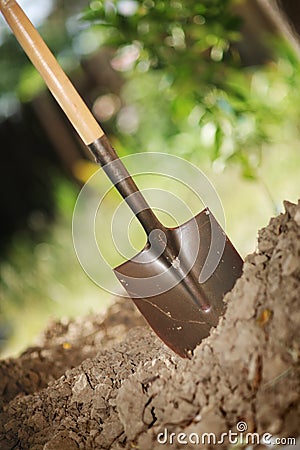 Shovel Stock Photo