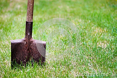 Shovel in green grass Stock Photo