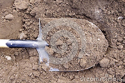 Shovel in the ground Stock Photo