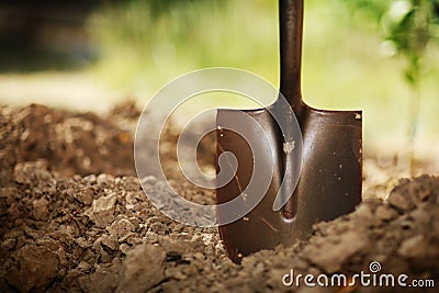 Shovel in soil Stock Photo