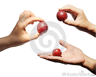 Show object in hand Stock Photo