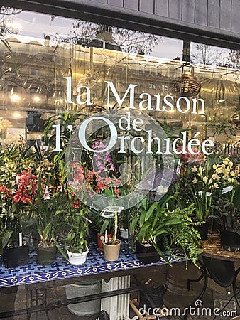 Show window, orchid shop, Paris, France Editorial Stock Photo