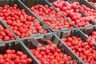 Showcase with tomatoes in a supermarket. A lot of red tomato. The choice of products. vegetables Stock Photo