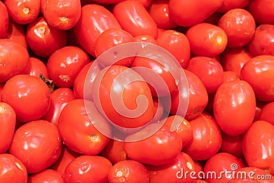 Showcase with tomatoes in a supermarket. A lot of red tomato. The choice of products. vegetables Stock Photo