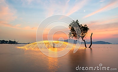 Showers of hot glowing sparks from spinning steel wool Stock Photo