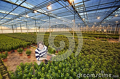 Showing a plant Stock Photo