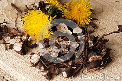 Shredded roots and flowers of dandelion on vintage wooden background with copy space, the process of procuring medicinal herbs, Stock Photo