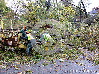 Shredding Tree Limbs Editorial Stock Photo