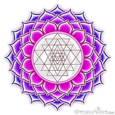 Shree Yantra Lotus Stock Photo