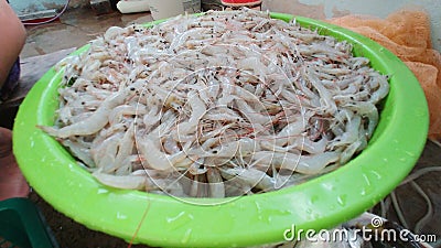 Shrim prawn white prawns seafood Stock Photo
